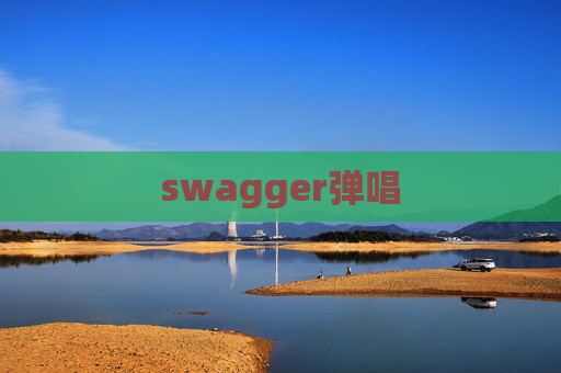 swagger弹唱 swagger弹唱